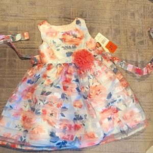2T Beautiful Blue& Pink Flower Dress